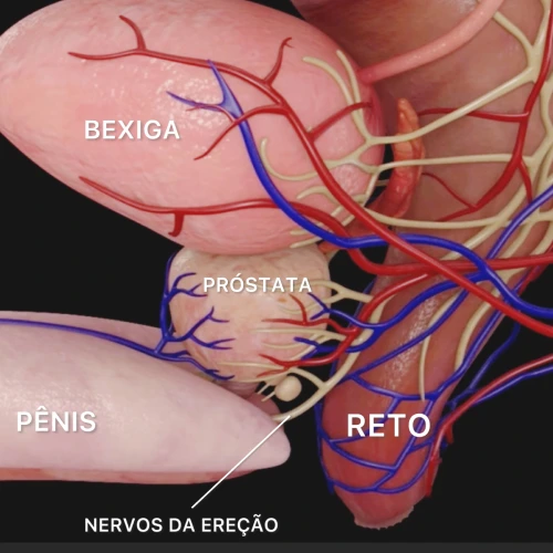 Dr_leandro_chiarelli_cirurgia_robotica_em_campinas
